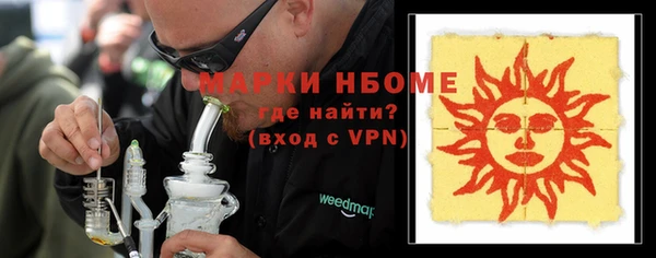 PSILOCYBIN Алзамай