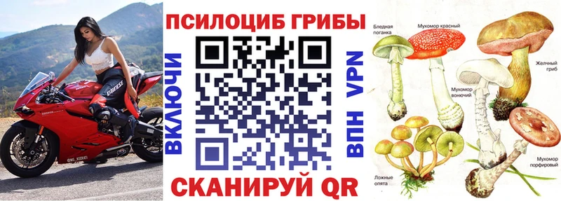 Псилоцибиновые грибы Cubensis  блэк спрут ONION  Фатеж 